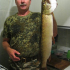 164 Плешков С.О.