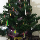 IMG-17be82fbf8ba2d6adb42d7d64138f629-V11