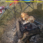 IMG-68f8676fbf8eb0ccafcabd9d9c3516e2-V22