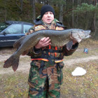 Королев С. Березина_9 кг.