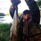 Королев С.2020-2