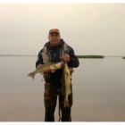 Саша Устинов