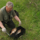 Сергей Городов 2017 коптим_леща