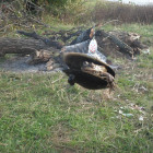 Сергей Городов на Днепре с ульралайтом