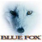 Титульная Blue Fox